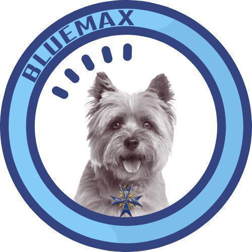 Blue Max
