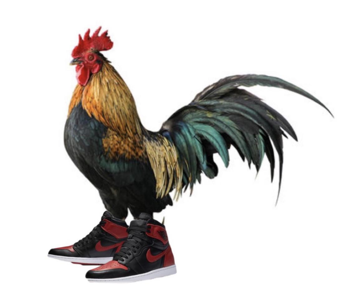 Pollo Kicks