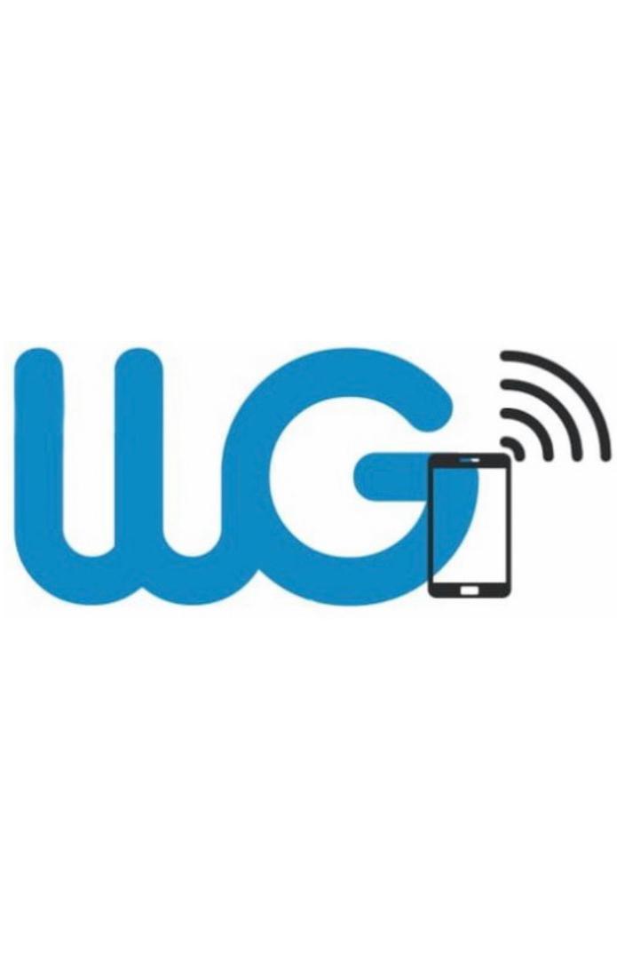 Wireless Guys