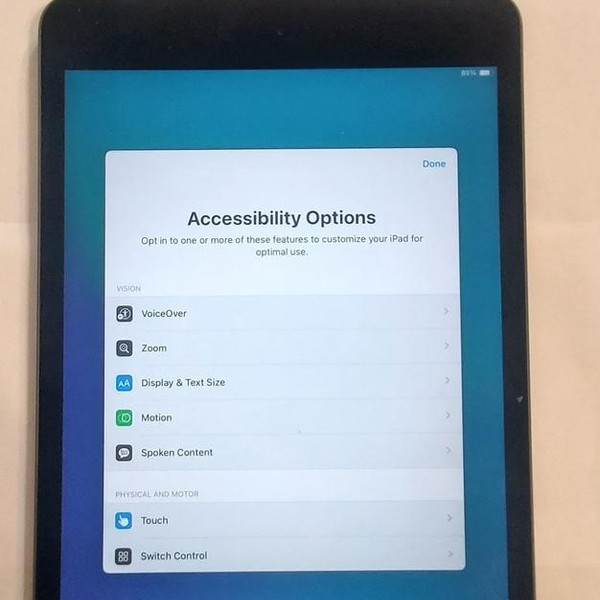 Apple iPad Mini 5th Gen - Wi-Fi, 256 GB, Gray