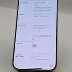 Mint Apple iPhone 16 Pro Max - Unlocked, Desert, 256 GB, A3084