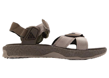 Nike ACG Air Deschutz Moon Fossil for sale