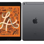 Fair Apple iPad Mini (5th Gen) - Wi-Fi, 64 GB, Gray