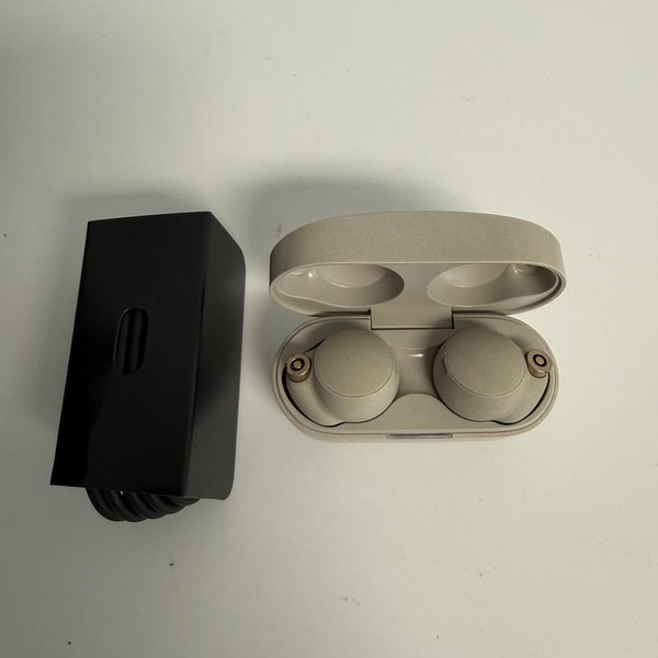 Sony WF-1000XM4 - Silver