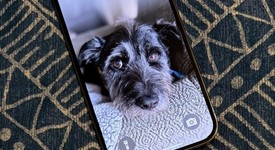 Good
													Apple iPhone 14 Pro - Verizon, Gold, 256 GB, A2650, photo 5 of 6