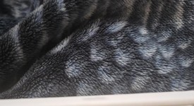 New
													Apple iPhone 17 Pro Max - Unlocked, Silver, 256 GB, A3257, photo 3 of 4