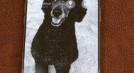 Mint
													Apple iPhone 16 Pro Max - Unlocked, Desert, 512 GB, A3084, photo 5 of 12