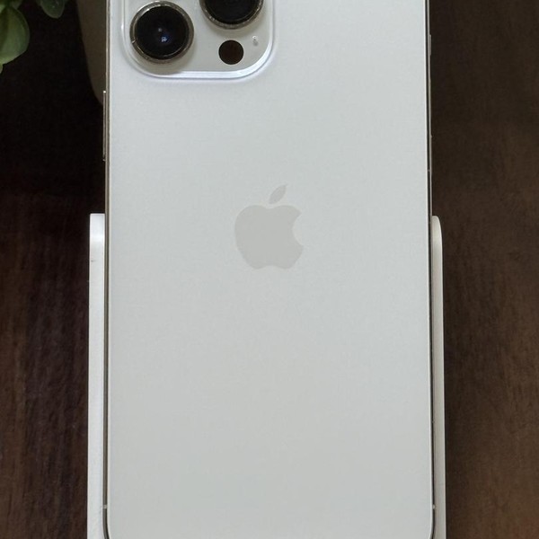 Apple iPhone 13 Pro Max - Unlocked, 256 GB, Silver, A2484