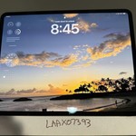 Mint Apple iPad Pro 13 inch (M4) 2024 - Unlocked, Black, 256 GB, 8 GB, A2926, Standard Glass