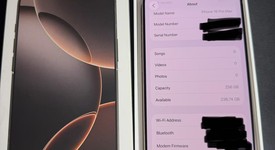 Good
													Apple iPhone 16 Pro Max - Unlocked, Desert, 256 GB, A3084, photo 1 of 8