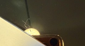 Good
													Apple iPhone 13 Pro Max - Unlocked, Sierra Blue, 128 GB, A2484, photo 4 of 16