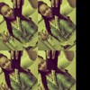 Shantierra H.