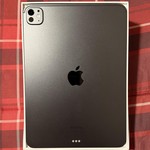 Mint Apple iPad Pro 11 inch (M4) 2024 - Wi-Fi, 256 GB, Black, 8 GB, A2836, Standard Glass