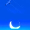 hmzzkh9