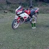 Frayzoon