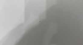 New
													Apple iPad Air 11" (M2) 2024 - Wi-Fi, Blue, 256 GB, A2902, photo 3 of 4