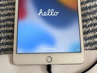 Apple iPad Mini 4