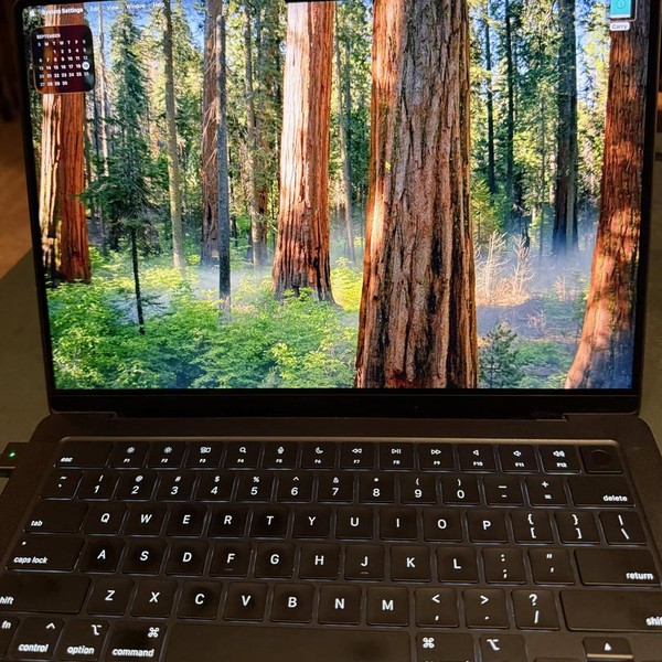 MacBook Pro Late 2023 (M3) - 14 inch - 1 TB, Black, 36 GB, Apple M3 Max 14-core, 30-core GPU
