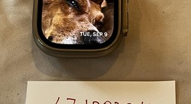 Mint
													Apple Watch Ultra 2 49mm - Unlocked, Natural, A2986, photo 1 of 34