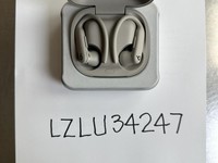 Beats Powerbeats Pro 2