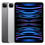 Mint Apple iPad Pro 11 inch 4th Gen 2022 - Wi-Fi, Gray, 256 GB