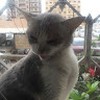 Tony S.