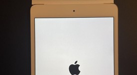 Mint
													Apple iPad Mini 4 - Wi-Fi, Gold, 32 GB, photo 1 of 8