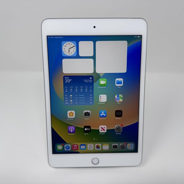 Apple iPad Mini 5th Gen - Unlocked, 256 GB, Silver