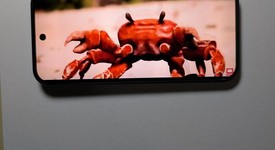 Good
													Google Pixel 10 - Unlocked, Obsidian, 128 GB, GLBW0, photo 5 of 10