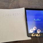 Good Apple iPad 9th Gen - Wi-Fi, 64 GB, Gray, A2602