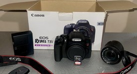 Mint
													Canon EOS Rebel T8i, photo 1 of 1