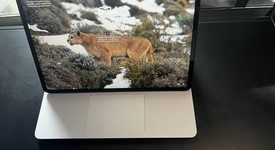 Mint
													Microsoft Surface Laptop Studio - I7, Platinum, 512 GB, 16 GB, photo 2 of 7
