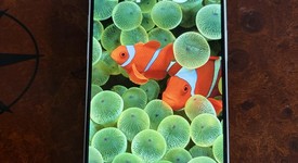 Mint
													Apple iPhone 15 Pro - Unlocked, White, 256 GB, A2848, photo 2 of 10