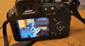 Mint
													Panasonic Lumix FZ80, photo 6 of 6