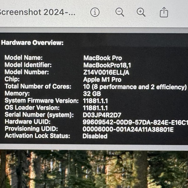 MacBook Pro 2021 - 16 inch - 512 GB, Gray, 32 GB, Apple M1 Pro 10-core