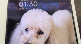 Mint
													Oppo Find N5 - Unlocked Non-US, Misty White, 512 GB, 16 GB, photo 3 of 12