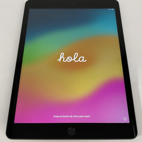 Apple iPad (9th Gen) - Wi-Fi, 256 GB, Gray, A2602