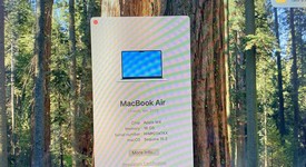 Mint
													MacBook Air 2025 (M4) - 13" - Apple M4, Starlight, 256 GB, 16 GB, photo 4 of 14
