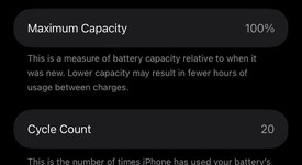 Mint
													Apple iPhone 16 Pro Max - Unlocked Non-US, Desert, 256 GB, A3296, photo 2 of 11