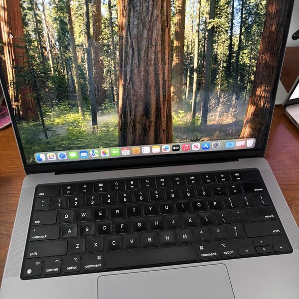 MacBook Pro Late 2023 (M3) - 14 inch - 1 TB, Gray, 16 GB, Apple M3, 10-core GPU
