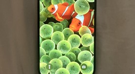 Good
													Apple iPhone 15 Pro - Unlocked, Blue, 512 GB, A2848, photo 1 of 5