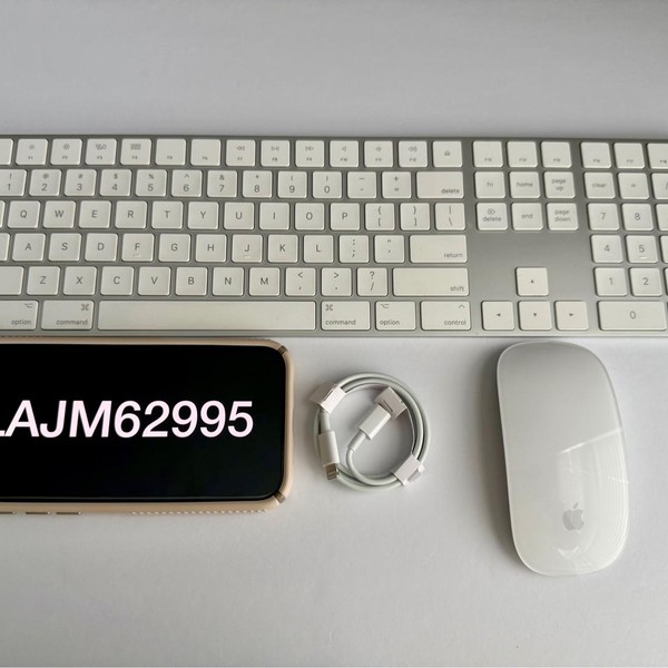 Apple Magic Keyboard with Numeric Keypad