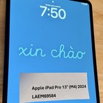 Mint Apple iPad Pro 13 inch (M4) 2024 - Unlocked, 1 TB, Black, 16 GB, A2926, Standard Glass