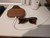 Mint Meta Ray-Bans - Brown