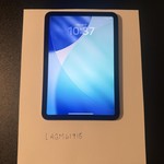 Mint Apple iPad Mini (7th Gen) - Wi-Fi, 256 GB, Gray, A2993