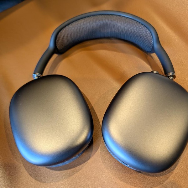 Apple AirPods Max - Gray