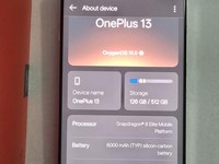 OnePlus 13
