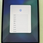 Mint Apple iPad Pro 12.9 inch 6th Gen 2022 - Verizon, 256 GB, Gray