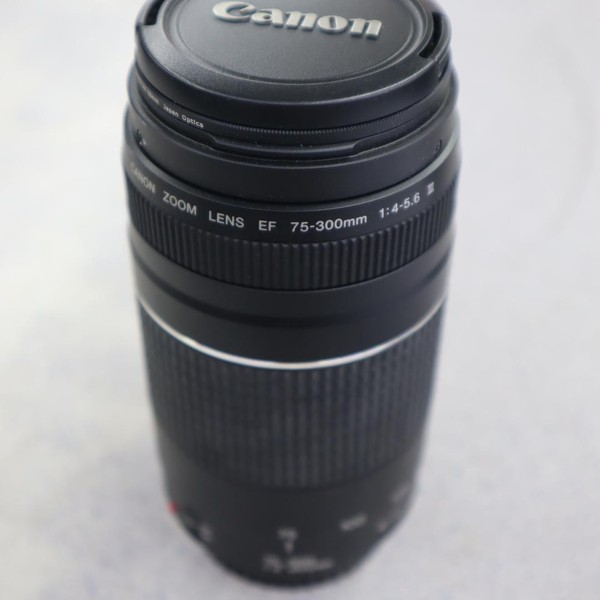 Canon EF 75-300mm f/4-5.6 III