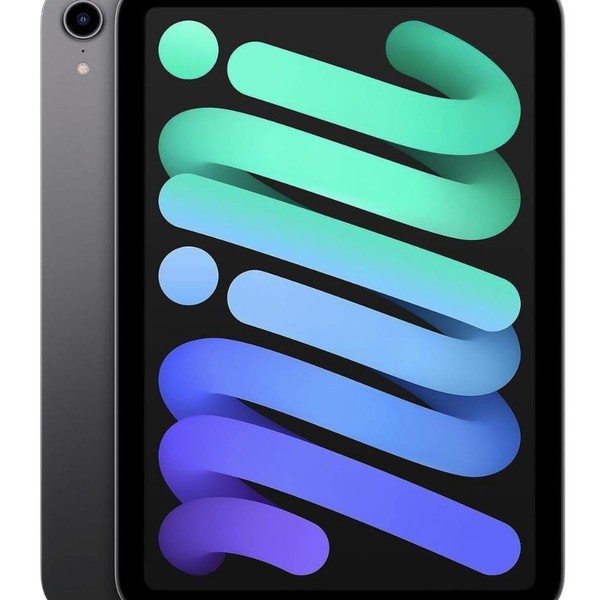 Apple iPad Mini 6th Gen - Unlocked, 256 GB, Gray, A2568